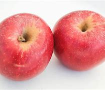 Image result for Red Gala Apple