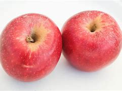 Image result for Red Gala Apple