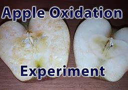 Image result for Apple Oxidation Science Project