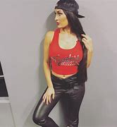 Image result for WWE Nikki Bella Red