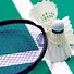 Image result for Racket for Badminton
