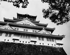 Image result for Osaka Castle Up Close