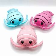 Image result for Isopod Plushie