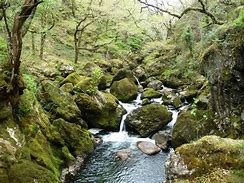 Image result for Waterfall Afon Goedol