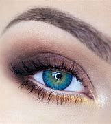 Image result for Dark Browon Eye Contacts