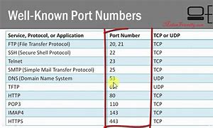 Image result for St Port Network