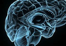 Image result for Cool Brain Background