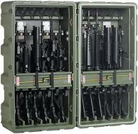 Image result for M 16 Gun Case