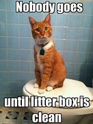 Image result for Cat Litter Jokes