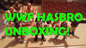 Image result for WWE Hasbro Figures