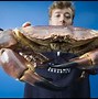 Image result for Biggest Edible Fish