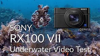 Image result for Sony RX100 VII Shooting Inside of an Aquarium