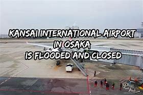 Image result for Osaka Typhoon