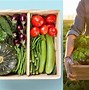 Image result for Local Vegetable Farms
