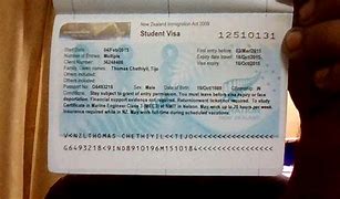 Image result for Work Visa Token NZ Sampls