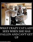 Image result for Lonely Cat Lady Meme
