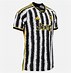 Image result for Pogma Juventus Jersy