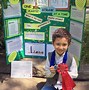 Image result for Elementary School Science Fair Projects