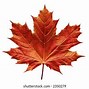 Image result for Blue Maple Leaf Clip Art