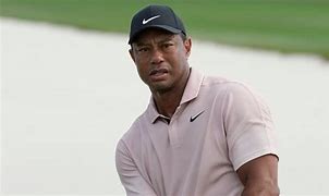 Image result for Tiger Woods at the Hero