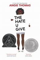 Image result for Best Quotes From the Hate U Give Book