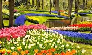 Image result for Beautiful Nature Netherlands