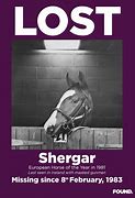 Image result for Shergar Missing Racehorse