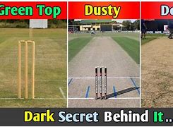 Image result for Cricket Pitch Grass
