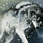 Image result for Alpha Wolf Wallpaper