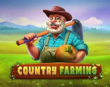 Image result for Local Farming