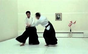 Image result for Aikido Exercises