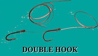 Image result for Double Hook