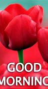 Image result for Free Good Morning Greetings