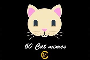 Image result for Posh Cat Meme