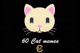 Image result for OMG Cat Meme