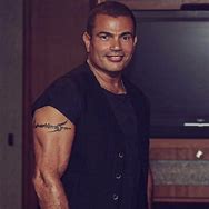 Image result for Amr Diab