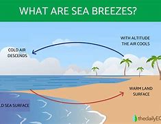 Image result for Breeze Effect