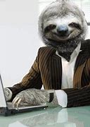 Image result for Sloth Business Suit Wallpaper
