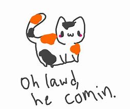 Image result for Cat Chonk Scale OH Lawd He Comin