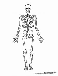 Image result for A Label Blank Skeleton
