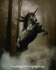 Image result for Black Unicorn Painting