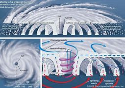 Image result for Kinds of Typhoon
