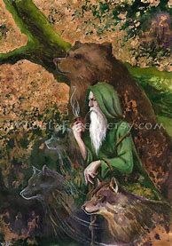 Image result for Celtic Druid Art