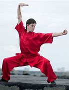 Image result for Dragon Style Kung Fu Poses