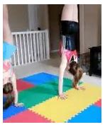 Image result for Gymnastics Workout