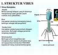 Image result for Struktur Virus Dan Fungsinya