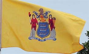 Image result for New Jersey State Colors