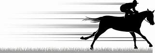 Image result for Pictures of Horse Racing Finish Line Full Field Side View