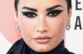 Image result for Demi Lovato Fans