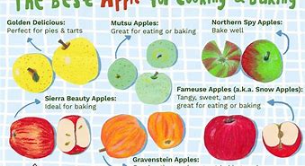 Image result for Baking Apple Types